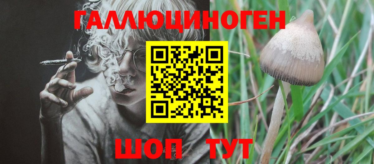 Шатура  Псилоцибиновые грибы GOLDEN TEACHER  Вход с VPN  Галлюциногенные грибы мицелий 